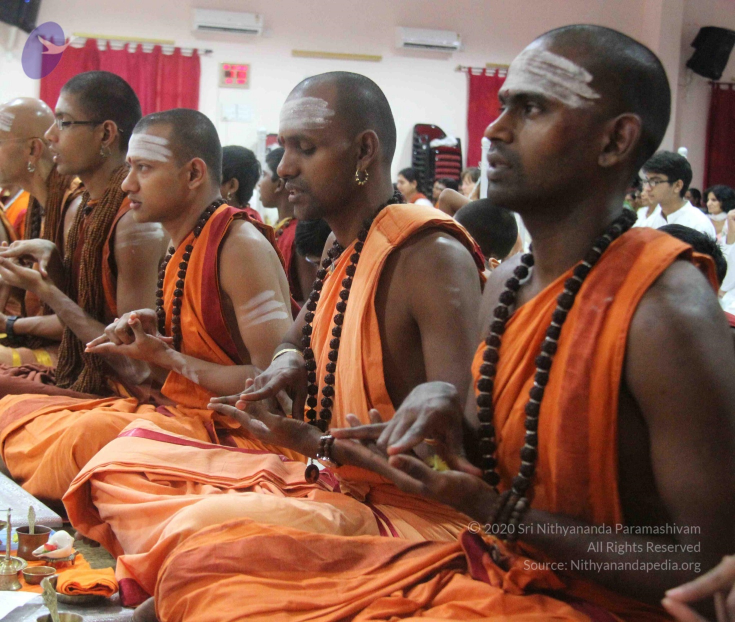 IMG_9219_CMP_WM Done